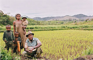 File:Famille-cultivateur-producteur-riz-Madagascar-8959.jpg