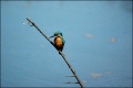 Thumbnail for version as of 14:34, 21 December 2010