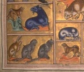 Thumbnail for version as of 17:04, 2 August 2013