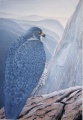 Thumbnail for version as of 10:25, 1 April 2012