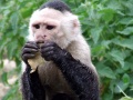 Thumbnail for version as of 08:38, 27 March 2011