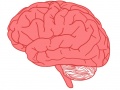 Thumbnail for version as of 10:24, 15 May 2014