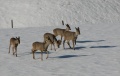 Thumbnail for version as of 17:57, 1 December 2009
