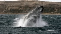 Thumbnail for version as of 18:03, 15 August 2011