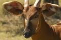 Thumbnail for version as of 21:58, 1 August 2012