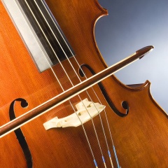 File:CAT-Music.jpg