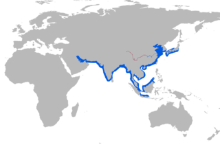 File:Habitat marsouin.png