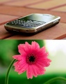 Thumbnail for version as of 13:09, 16 February 2013