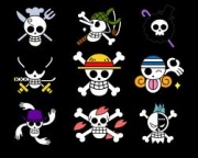 Logos one piece.jpg