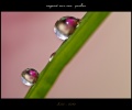 Thumbnail for version as of 12:37, 15 November 2010