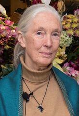 File:Jane.jpg