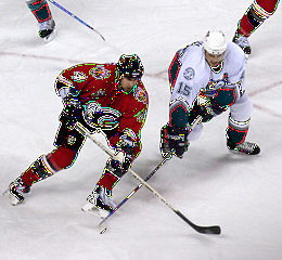 File:Joueurs de hockey-4542.jpg