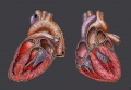 Thumbnail for version as of 01:25, 9 November 2009