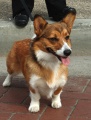 Thumbnail for version as of 13:38, 7 September 2012