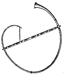 File:Buccina-bucina-buccin.png