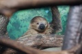 Thumbnail for version as of 14:40, 21 December 2010