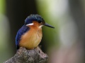 Thumbnail for version as of 14:33, 21 December 2010