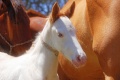 Thumbnail for version as of 19:52, 7 February 2011