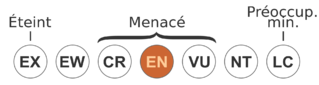 File:Status iucn3.1 EN-fr.svg.png
