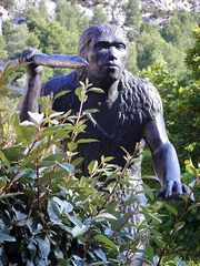 File:Homme de Tautavel.jpg