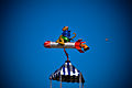 Thumbnail for version as of 16:39, 10 October 2008