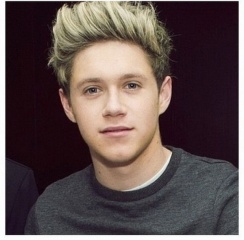 File:Niall Horan.jpg