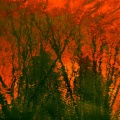 Thumbnail for version as of 10:48, 25 December 2011