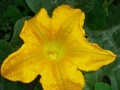 Thumbnail for version as of 11:12, 13 October 2009
