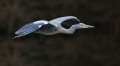 Thumbnail for version as of 01:21, 19 August 2012