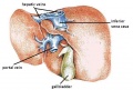Thumbnail for version as of 08:55, 30 April 2014