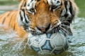 Thumbnail for version as of 16:45, 23 December 2011