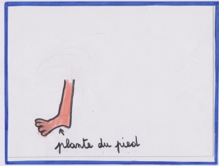 File:Plante du pied wikimini.jpg