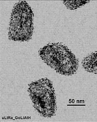 File:Virus-rage-Microscope électronique.jpg