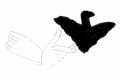Thumbnail for version as of 11:47, 16 June 2015
