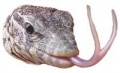 Thumbnail for version as of 00:18, 4 May 2010