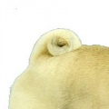 Thumbnail for version as of 10:41, 19 April 2010