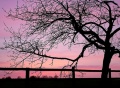 Thumbnail for version as of 22:55, 18 March 2014