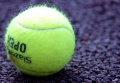 Thumbnail for version as of 17:01, 14 March 2010