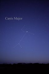 File:CanisMajorCC.jpg