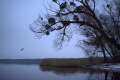 Thumbnail for version as of 20:54, 22 January 2013