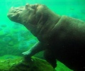 Thumbnail for version as of 20:15, 4 January 2011