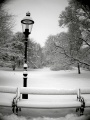 Thumbnail for version as of 21:13, 19 December 2009