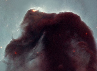 File:800px-Horsehead-Hubble.jpg