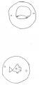 Thumbnail for version as of 11:53, 16 June 2015