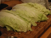 Chou chinois.jpg