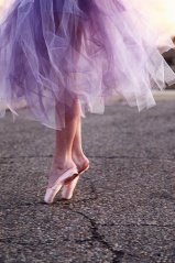 File:Lavender Tutu-6516.jpg