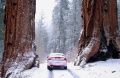 Thumbnail for version as of 16:43, 24 December 2011