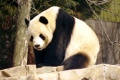 Thumbnail for version as of 11:15, 15 November 2008
