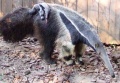 Thumbnail for version as of 15:07, 21 December 2010