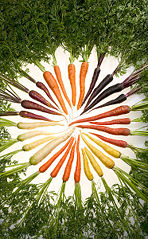 File:Variétés de carottes.jpg